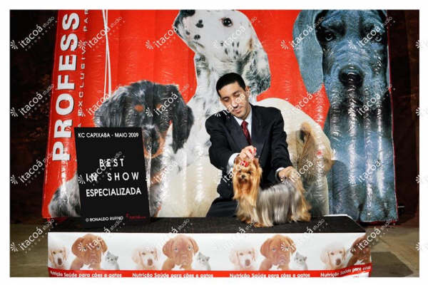 Clique sobre a foto para fechar